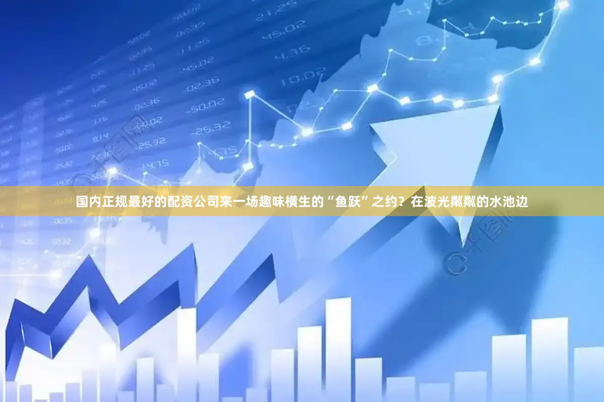 国内正规最好的配资公司来一场趣味横生的“鱼跃”之约？在波光粼粼的水池边