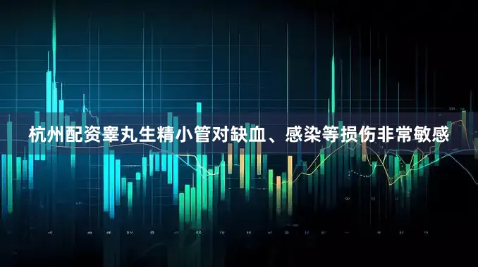 杭州配资睾丸生精小管对缺血、感染等损伤非常敏感