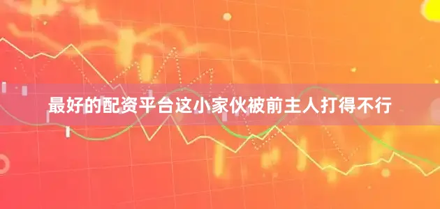 最好的配资平台这小家伙被前主人打得不行